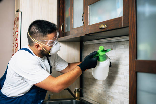 Best Bed Bug Extermination  in Rogers, TX