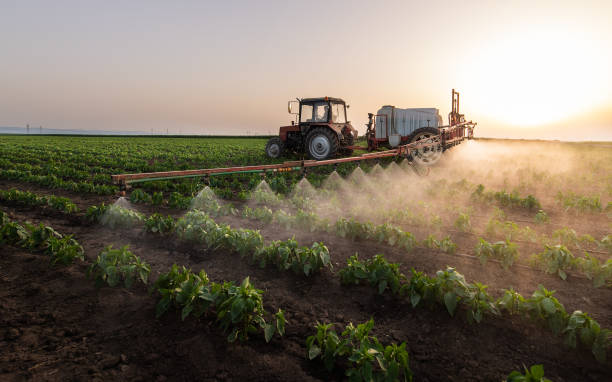 Best Pest Prevention Services  in Rogers, TX