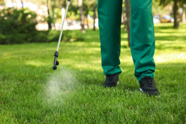 Best Pest Control Treatment  in Rogers, TX