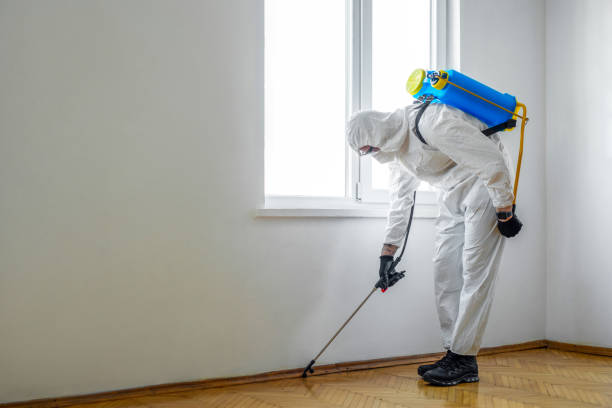 Insect Control in Rogers, TX