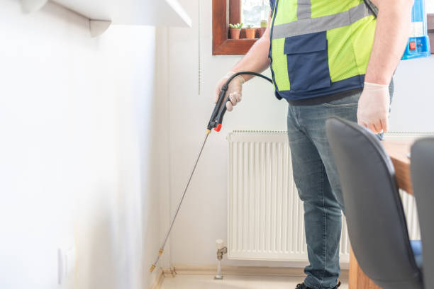 Best Ant Control Services  in Rogers, TX