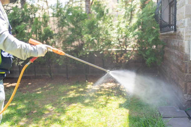 Best Wildlife Control Services  in Rogers, TX