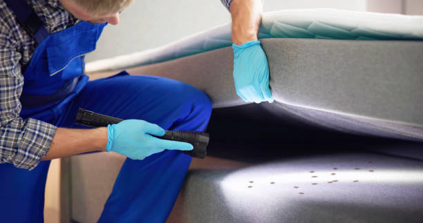 Best Local Pest Control Services  in Rogers, TX