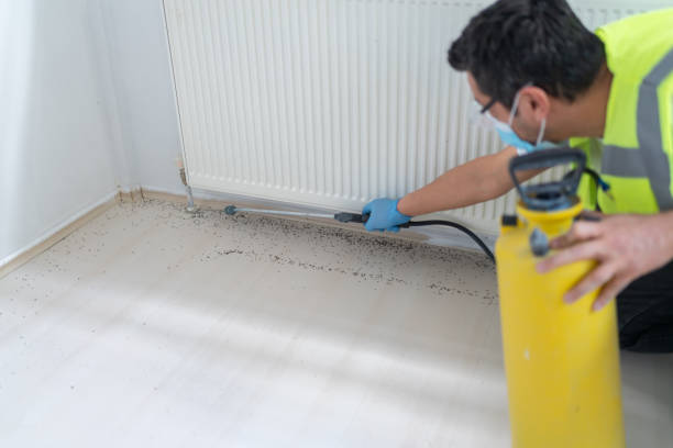 Professional Pest Control in Rogers, TX