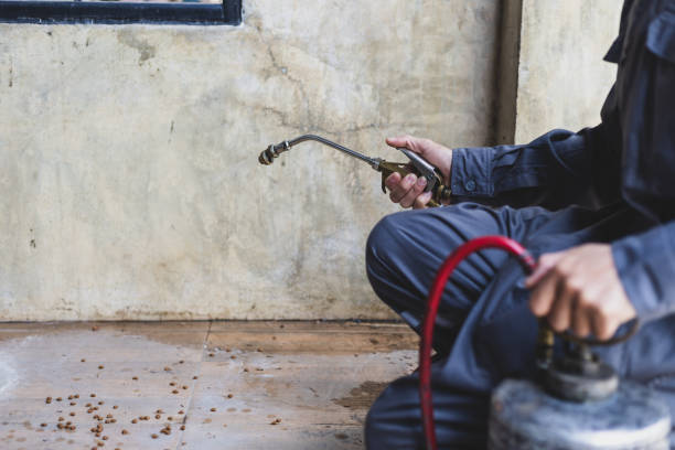 Best Emergency Pest Control  in Rogers, TX