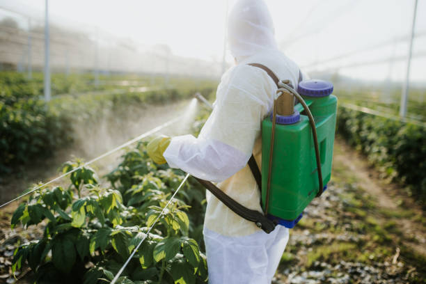 Best Best Pest Control Companies  in Rogers, TX